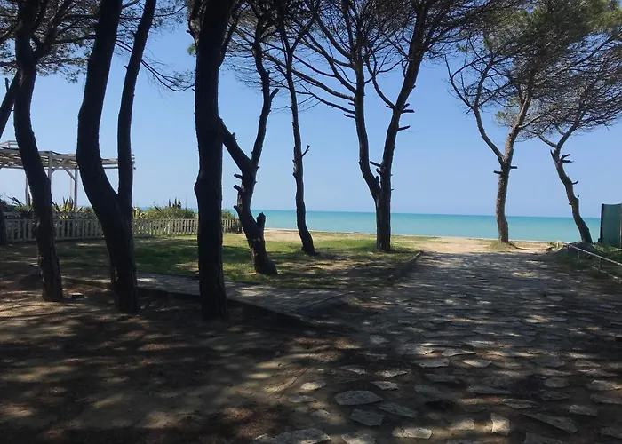 Rebi דירה גולם